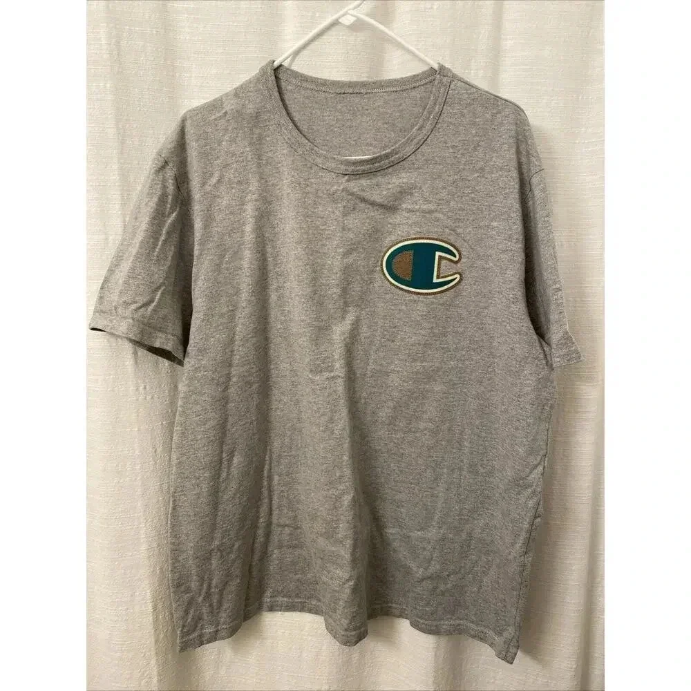Champion Men’s T Shirt Gray Large shirt sleeve casual - Picture 1 of 5